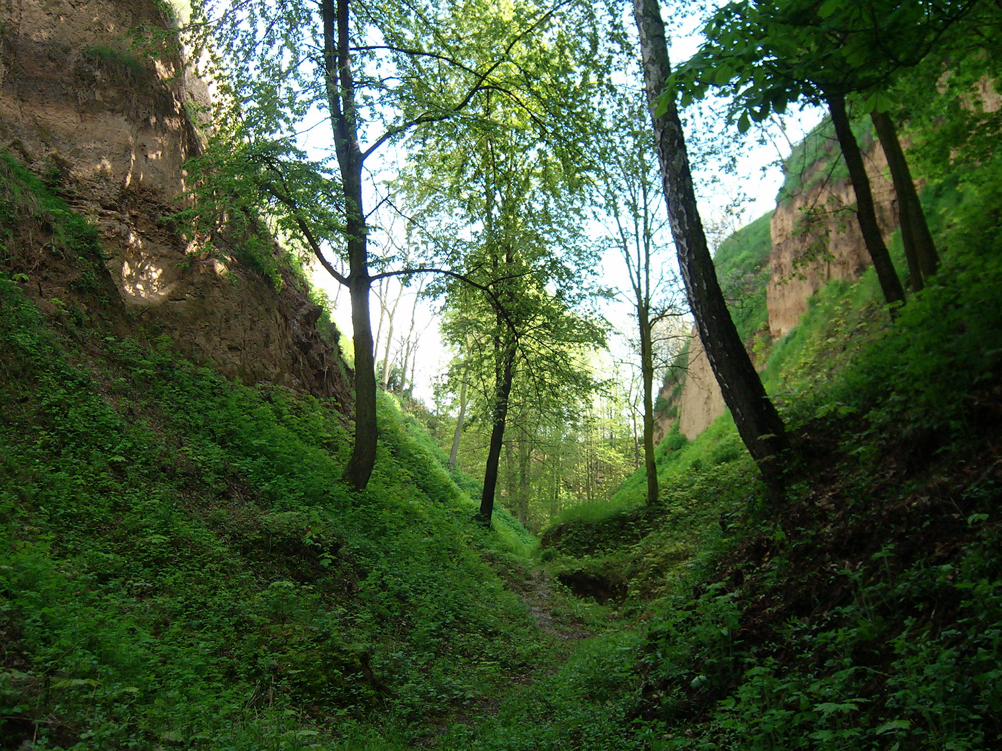 Sprašová rokle v městské části Zeměchy