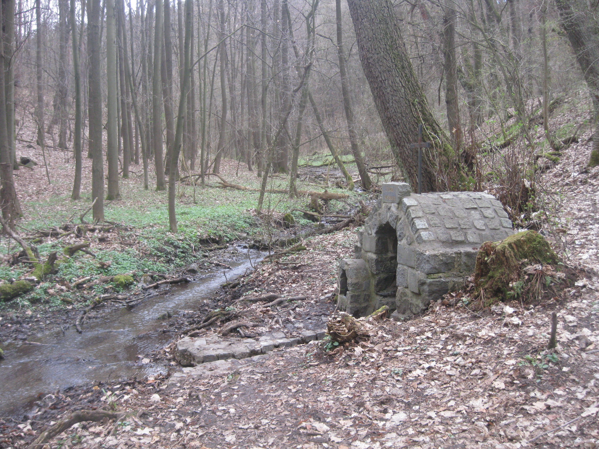 Studánka v Rusavkách 2