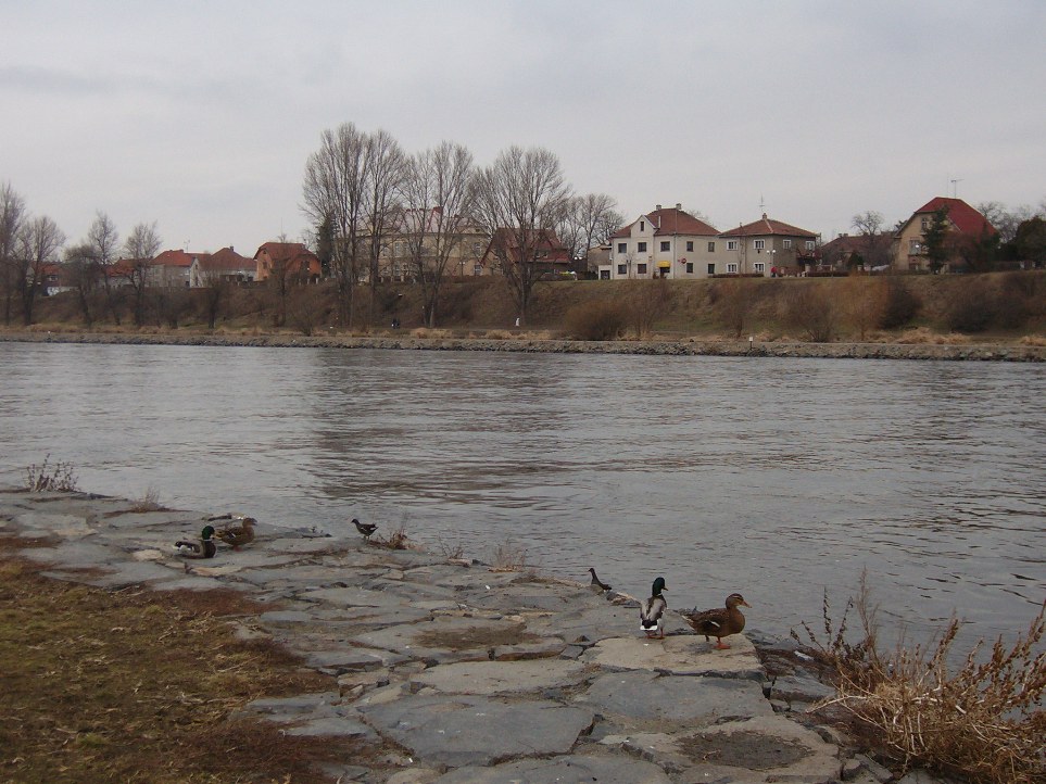 Vltava v předjaří