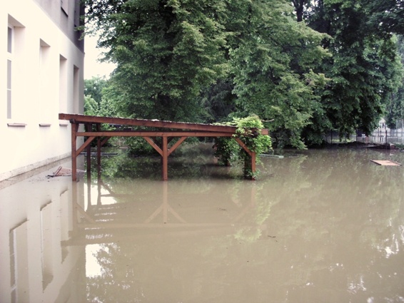 Zaplavená zahrada knihovny