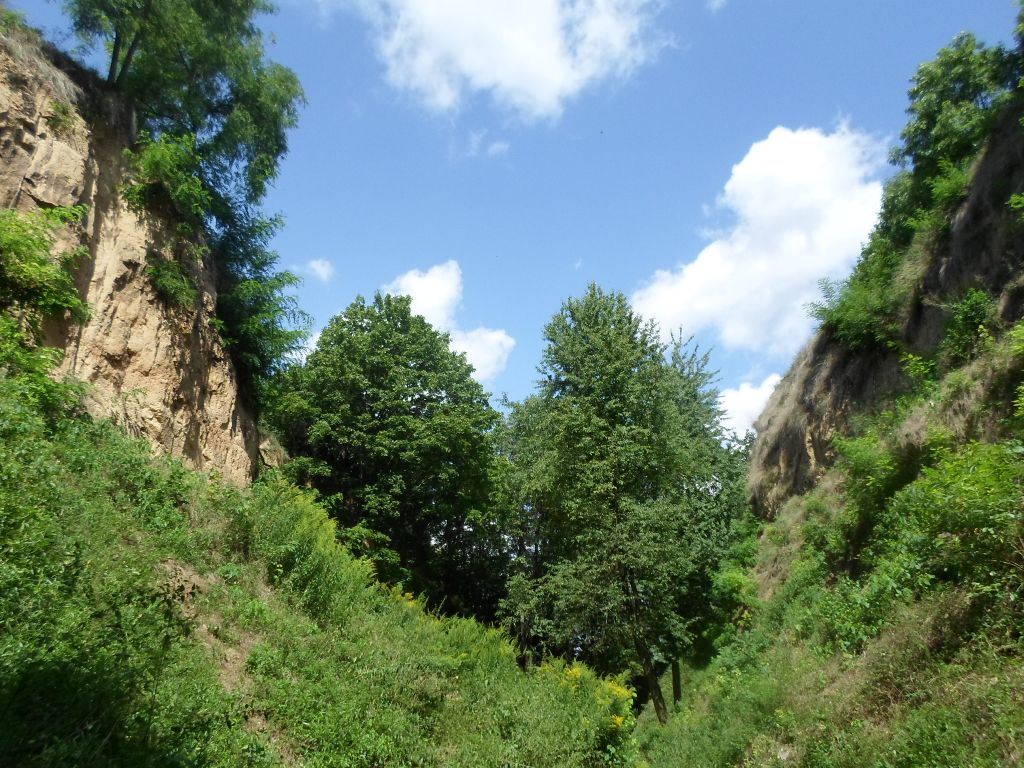 Sprašová rokle - pohled k Zeměchům