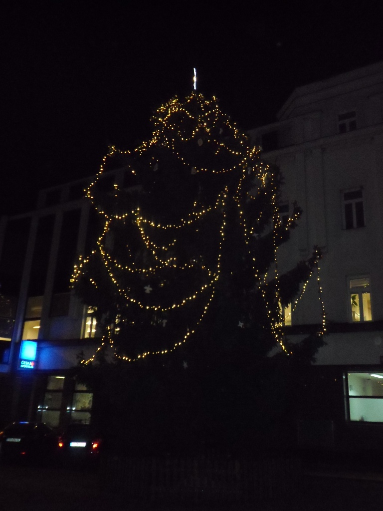 strom Palackého nám.